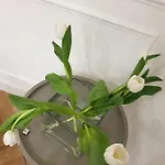 Casa Caudi 4* Rome