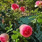Casa Caudi Guest house