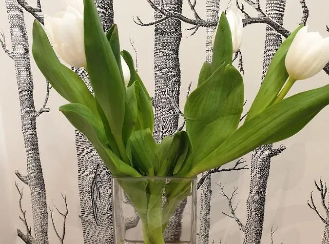 Casa Caudi Πανσιόν