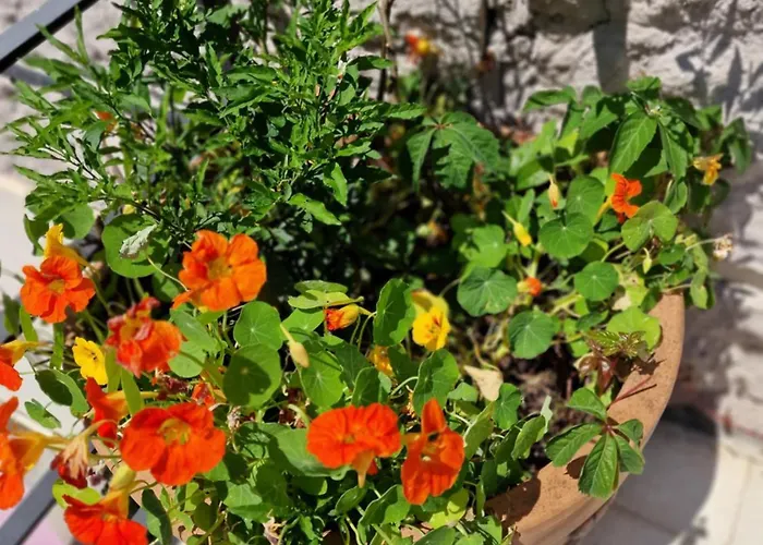 Casa Caudi Πανσιόν Ρώμη