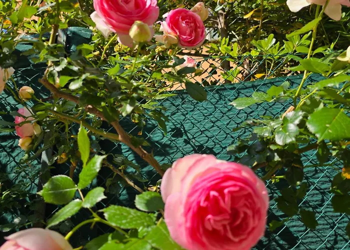 Casa Caudi Πανσιόν