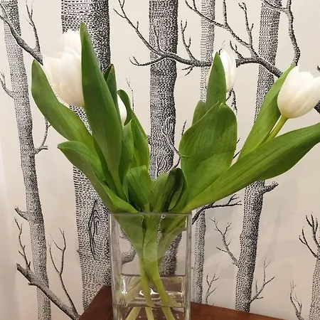 Casa Caudì Pensión