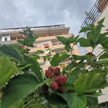 Casa Caudì Pensión 4*