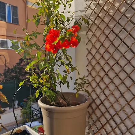 Casa Caudi Rome